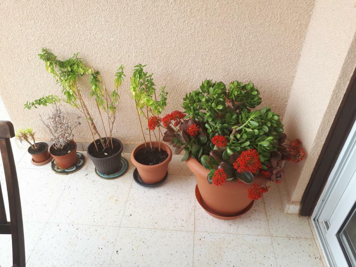 The Marilouize Apartment بييا المظهر الخارجي الصورة